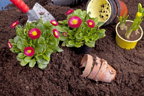 Soft landscaping planning and planting work in an Erith garden