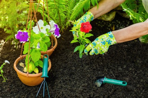 Accessible landscaping website content for Erith visitors