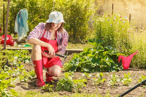 Low-maintenance artificial lawn suitable for Erith homes and businesses