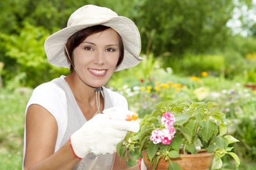 Landscape pricing estimate for an Erith garden tidy-up
