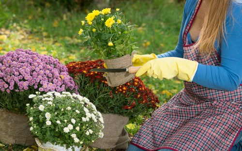 Local garden landscaping layout with patio and lawn areas in Erith