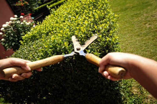 Safe and professional landscaping operations in Erith