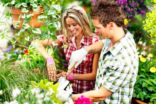 Accessibility support section for Erith landscaping website