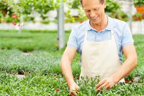 Free quote consultation for landscaping services in Erith