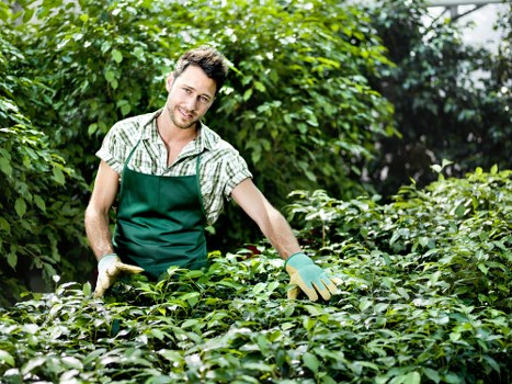 Landscaping staff following a health and safety policy during outdoor work