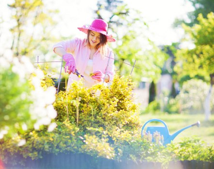 Local landscaping accessibility information on a digital page