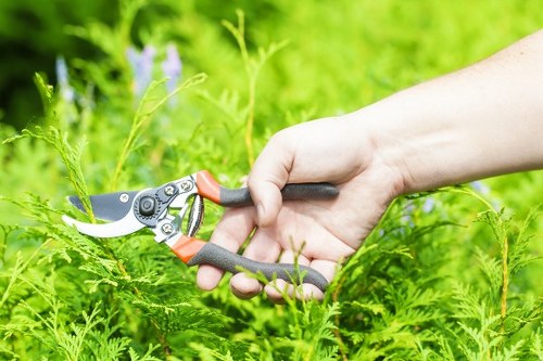 Mid-project landscaping assessment for an Erith property