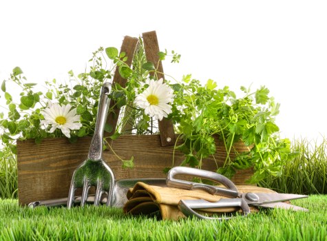 Final review stage of a landscaping complaints procedure